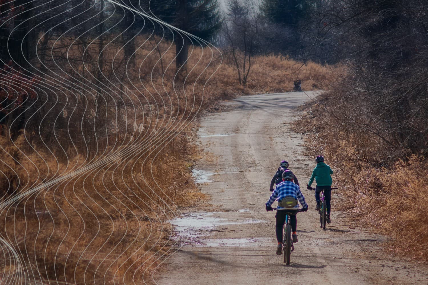 Collagen Hydrolysate vs. Peptides