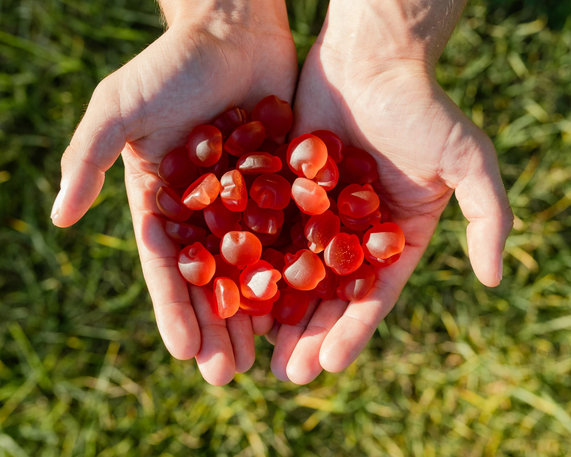 Apple Cider Vinegar Gummies