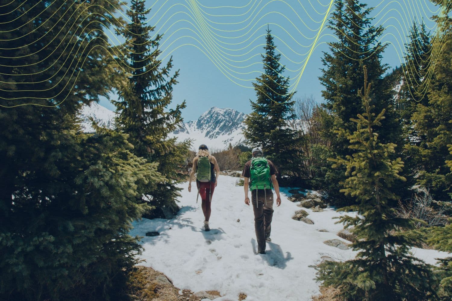 How Collagen Can Support Your Joints and Recovery This Spring